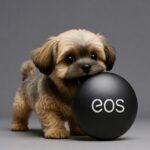 이오스파워볼 복구를 돕는 플레이 분석과 이오스 파워볼 게임추천, 입증된 이오스파워볼 사이트 모음